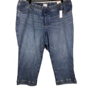 Lane Bryant Flex Magic Jeans 28P Relaxed Straight High Rise Pull On NWT